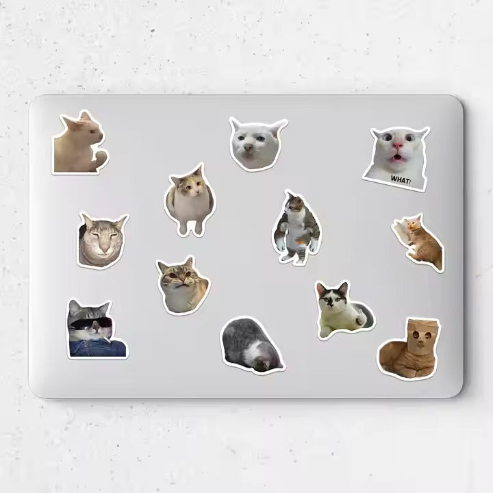 Silly cat sticker collection featuring various adorable cat designs for fun decoration