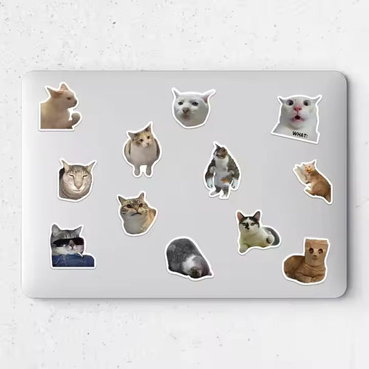Silly cat sticker collection featuring various adorable cat designs for fun decoration
