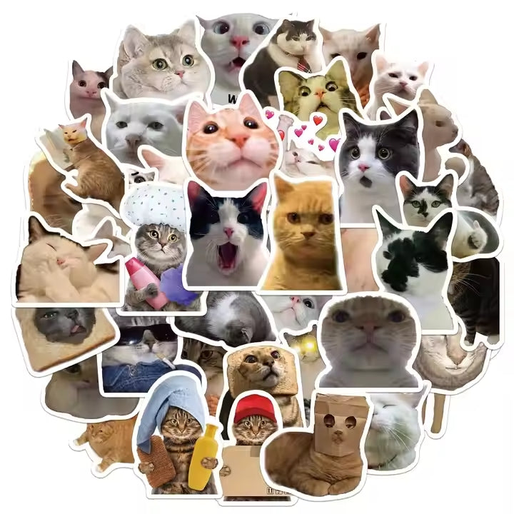 Silly cat sticker collection featuring various adorable and funny cat faces and poses