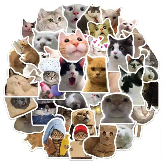 Silly cat sticker collection featuring various adorable and funny cat faces and poses