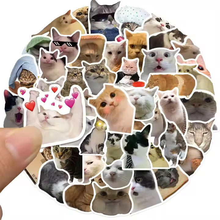 Silly cat sticker collection featuring various adorable and funny cat images for cat lovers