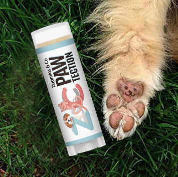 Zoomies & Co Paw Protection Stick for natural dog paw care on grass with a dog's paw